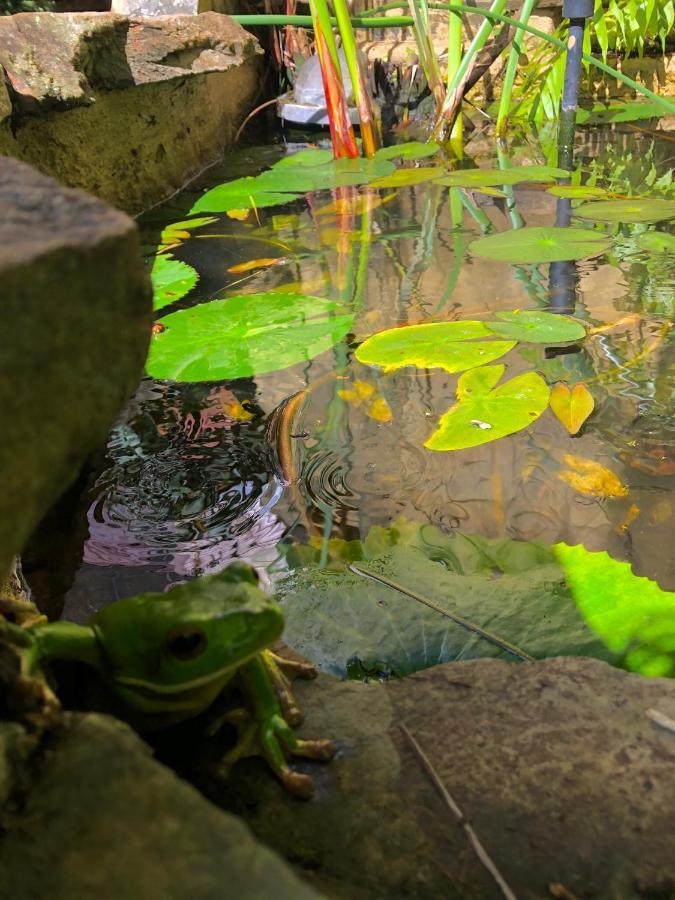 Whitsundays Bnb Retreat Airlie Beach Luaran gambar